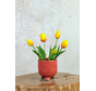 Kunst Tulpen - wit (incl. terracotta pot) | 30cm