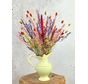 Droogbloemen boeket "Happy Teapot" | 70cm