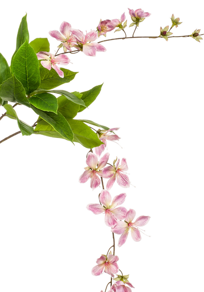 Zijden bloesem "Bauhinia hanging spray" pink | 100 cm