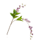 Zijden bloesem "Bauhinia hanging spray" purple | 100 cm