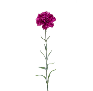 Zijden bloem "Dianthus" spray purple | 67 cm