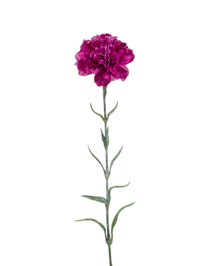 Zijden bloem "Dianthus" spray purple | 67 cm