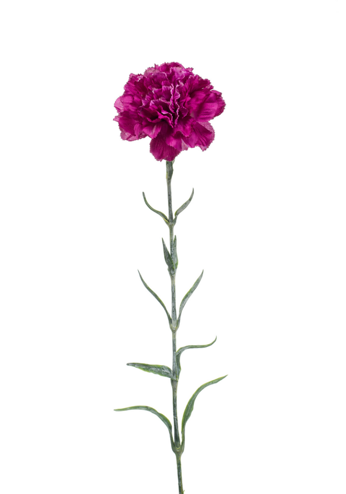 Zijden bloem "Dianthus" spray purple | 67 cm