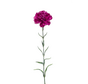 Zijden bloem "Dianthus" spray purple | 67 cm