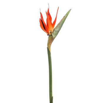 Zijden bloem "Strelitzia" oranje | 85cm