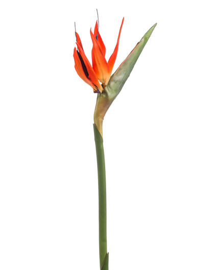 Zijden bloem "Strelitzia" oranje | 85cm