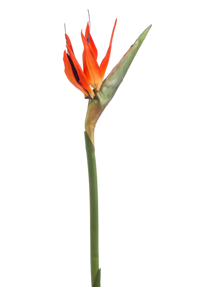 Zijden bloem "Strelitzia" oranje | 85cm