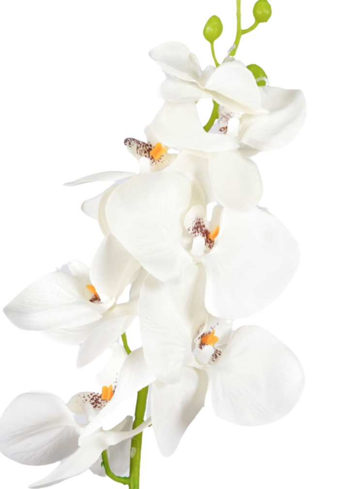 Zijden bloem "Phalaenopsis" spray white | 84 cm