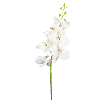 Zijden bloem "Phalaenopsis" spray white | 84 cm