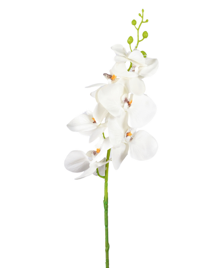 Zijden bloem "Phalaenopsis" spray white | 84 cm
