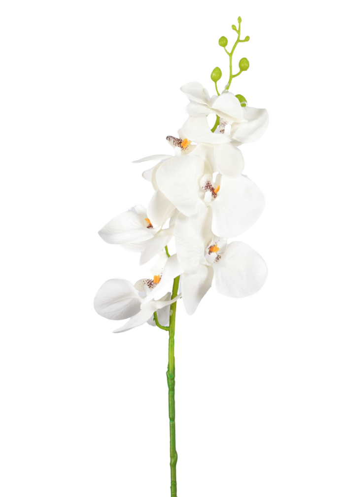Zijden bloem "Phalaenopsis" spray white | 84 cm