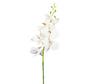 Zijden bloem "Phalaenopsis" spray white | 84 cm
