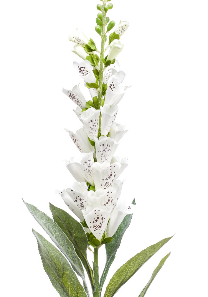 Zijden bloem "Digitalis"cream | 92cm