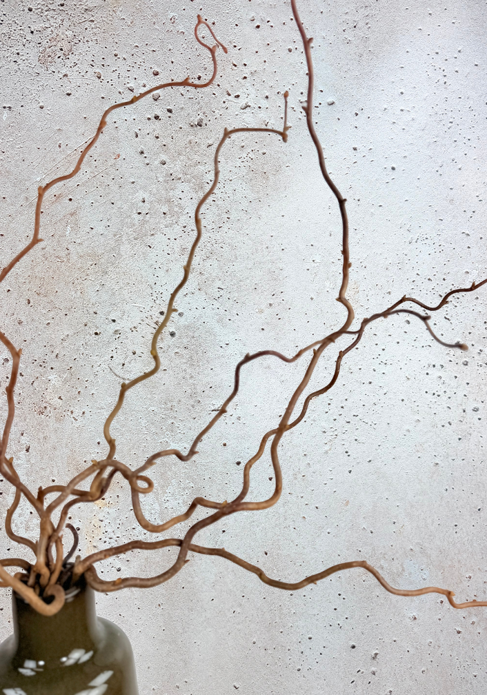 Wilgentakken | 5 takken