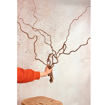 Wilgentakken | 5 takken