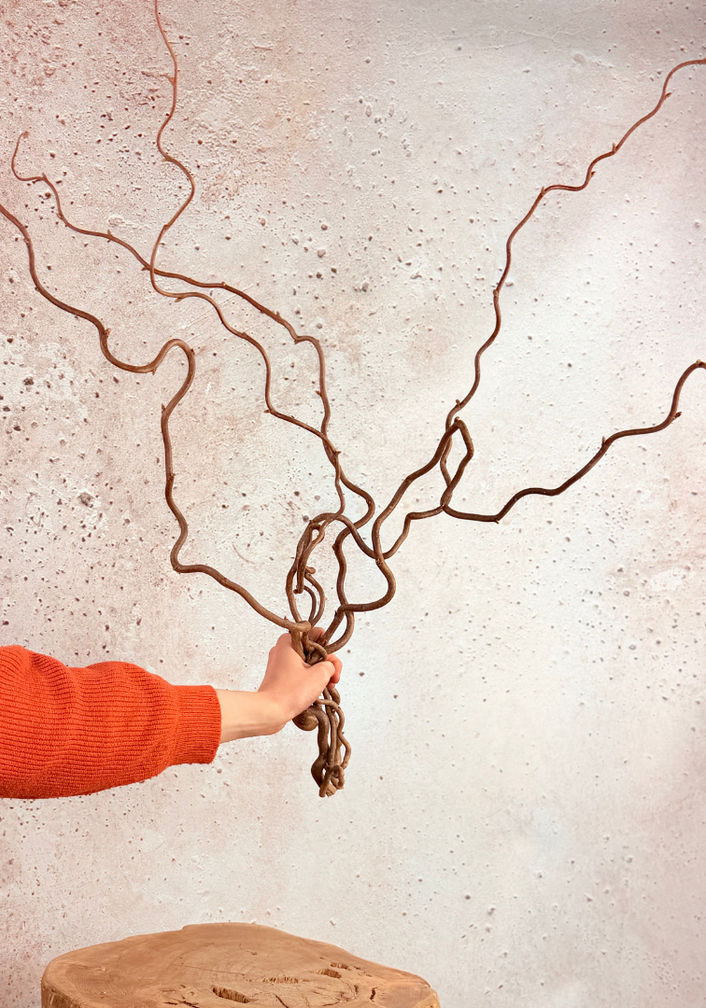 Wilgentakken | 5 takken