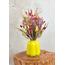 Droogboeket "Funky Fiesta" | 40cm - incl. vaas