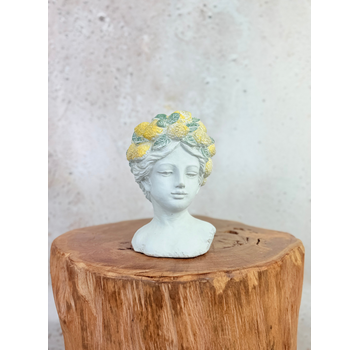 "Lady Lemona" bloempot | Ø15x15cm