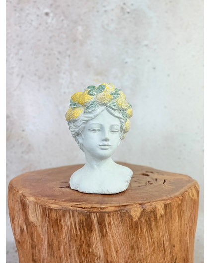 "Lady Lemona" bloempot | Ø15x15cm