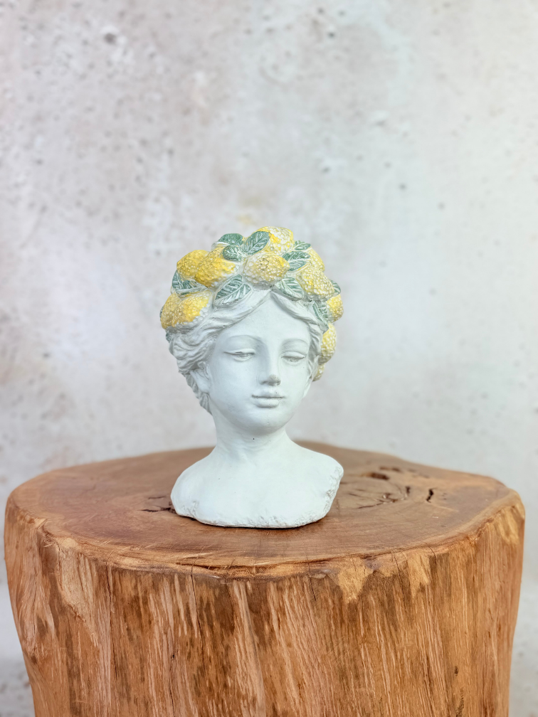 "Lady Lemona" bloempot | Ø15x15cm