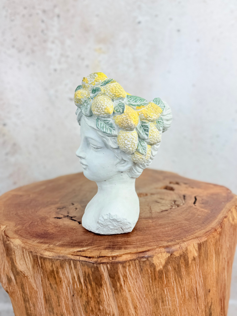"Lady Lemona" bloempot | Ø15x15cm