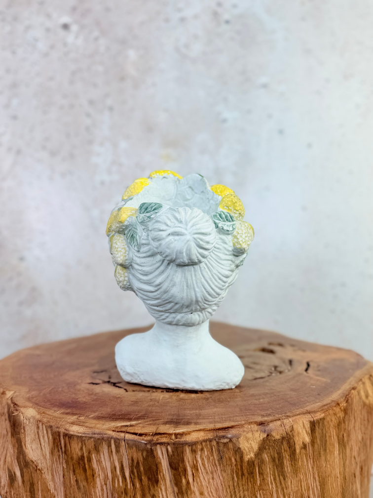 "Lady Lemona" bloempot | Ø15x15cm