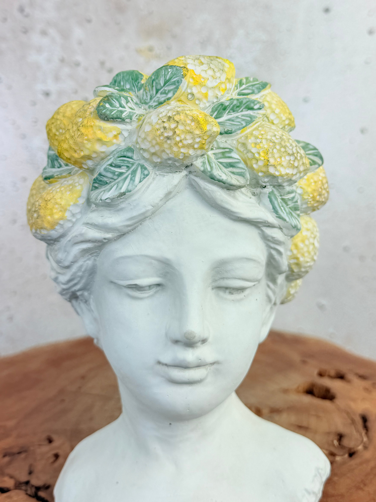 "Lady Lemona" bloempot | Ø15x15cm