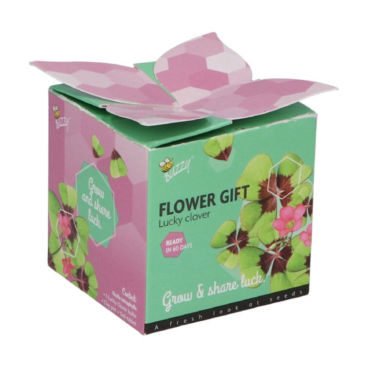Buzzy® Display Flower Gifts "Klavertje 4"