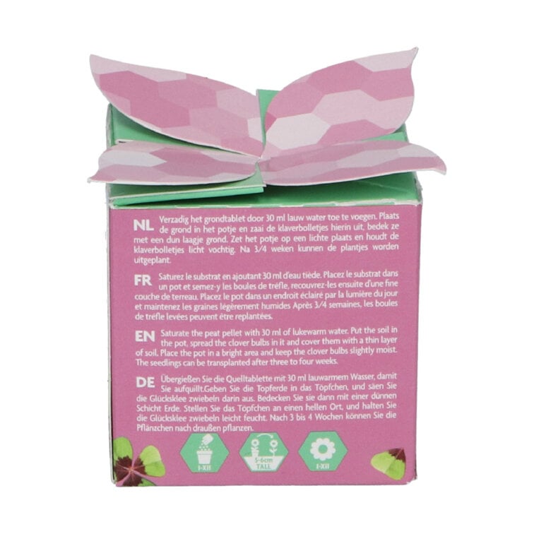 Buzzy® Display Flower Gifts "Klavertje 4"