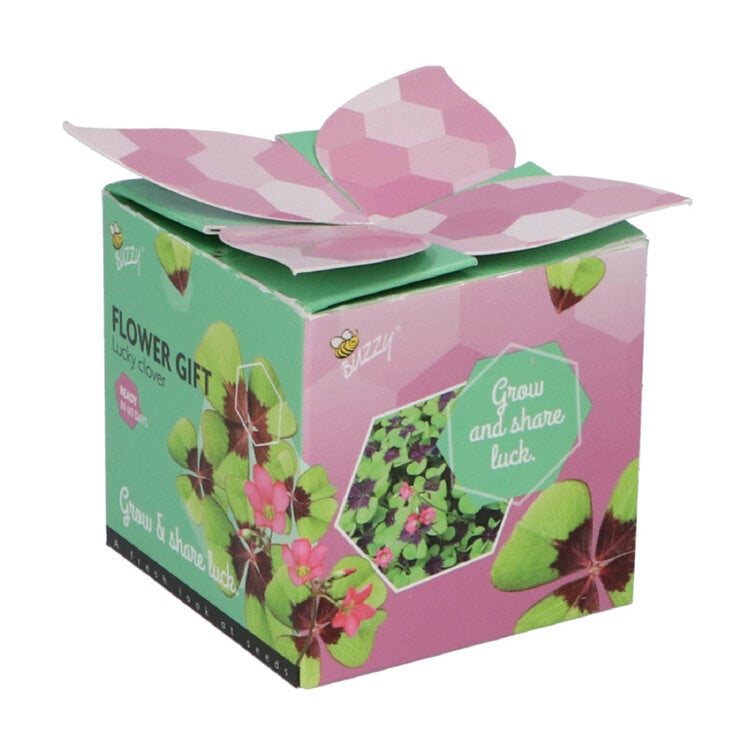 Buzzy® Display Flower Gifts "Klavertje 4"