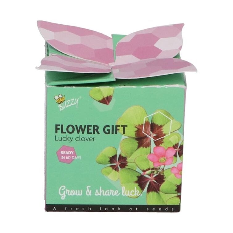 Buzzy® Display Flower Gifts "Klavertje 4"