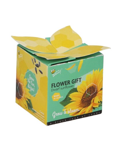 Buzzy® Buzzy® Display Flower Gifts "Zonnebloem"