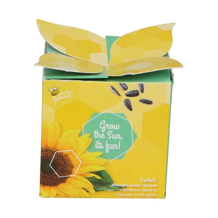 Buzzy® Display Flower Gifts "Zonnebloem"