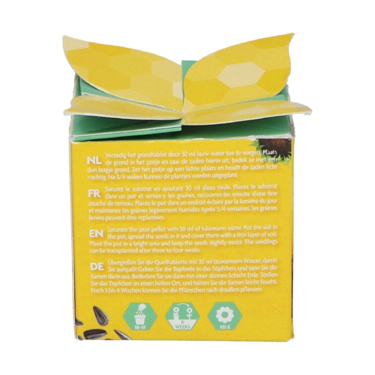 Buzzy® Display Flower Gifts "Zonnebloem"