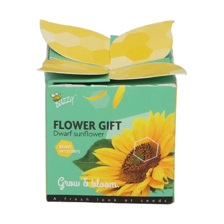 Buzzy® Display Flower Gifts "Zonnebloem"