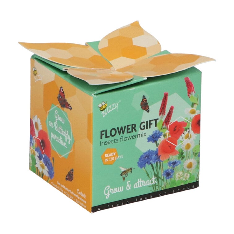 Buzzy® Display Flower Gifts "Bloemen voor Insecten"