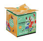 Buzzy® Display Flower Gifts "Bloemen voor Insecten"