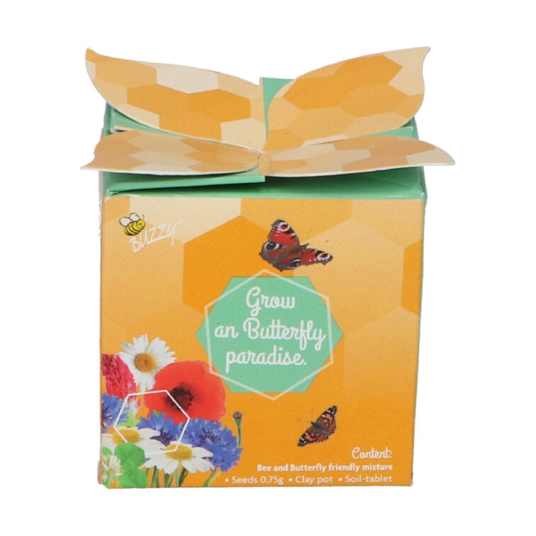 Buzzy® Display Flower Gifts "Bloemen voor Insecten"