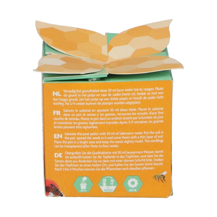 Buzzy® Display Flower Gifts "Bloemen voor Insecten"