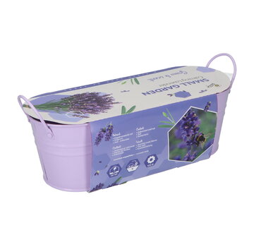 Buzzy® Small Garden "Calming Lavender" (giftbox)