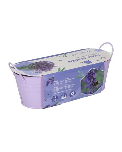 Buzzy® Small Garden "Calming Lavender" (giftbox)