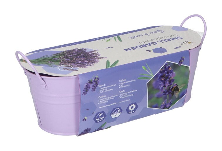 Small Garden "Calming Lavender" (giftbox)