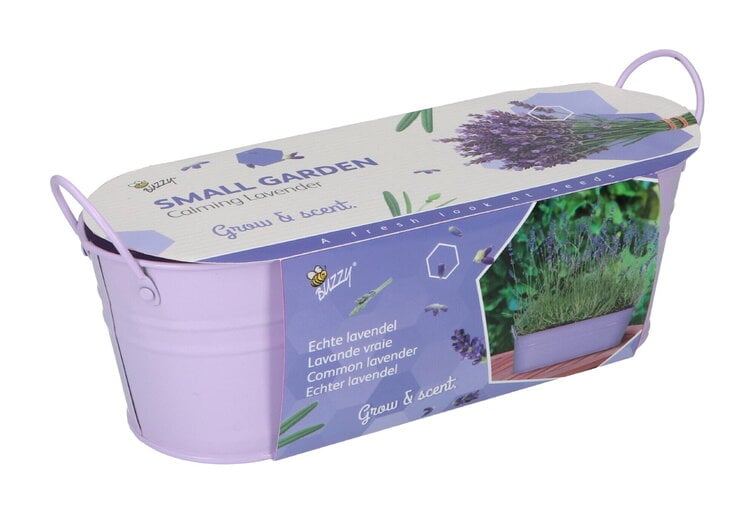 Small Garden "Calming Lavender" (giftbox)