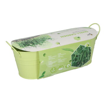 Buzzy® Small Garden "Yummy Peas" (giftbox)