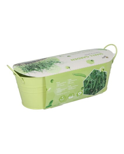 Buzzy® Small Garden "Yummy Peas" (giftbox)