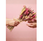 Veldboeket droogbloemen "Pink Haven" | 55cm
