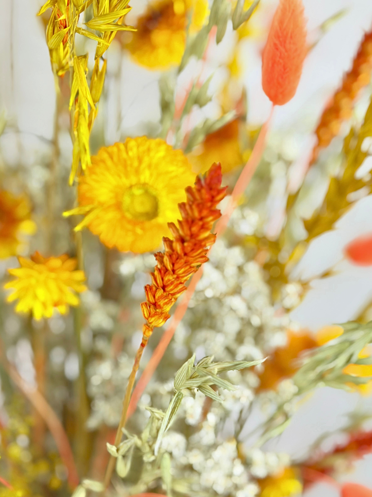 Droogbloemen boeket "Tales of the Summer" | 60cm