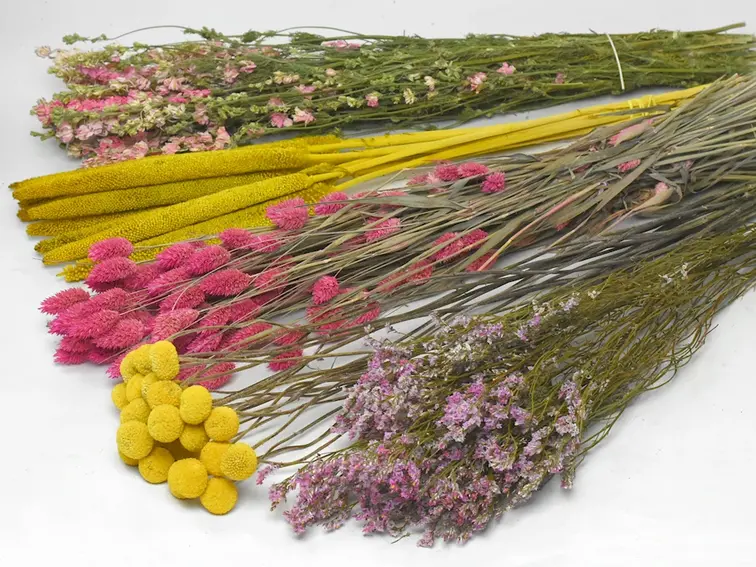 DIY - Droogboeket geel/roze "Soft Blend" - geel/roze