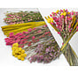 DIY - Droogboeket geel/roze "Soft Blend" - geel/roze