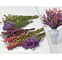 DIY - Droogboeket paars/roze "Bright Flair"
